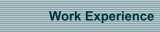 Work Experience